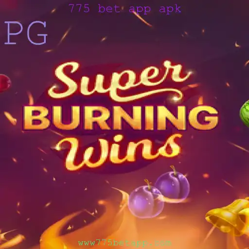 Descubra o Fascinante Mundo do Jogo SuperBurningWins