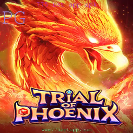 Descubra o Fascinante Mundo de TrialofPhoenix: O Jogo que Está Conquistando os Aficionados por Aventura